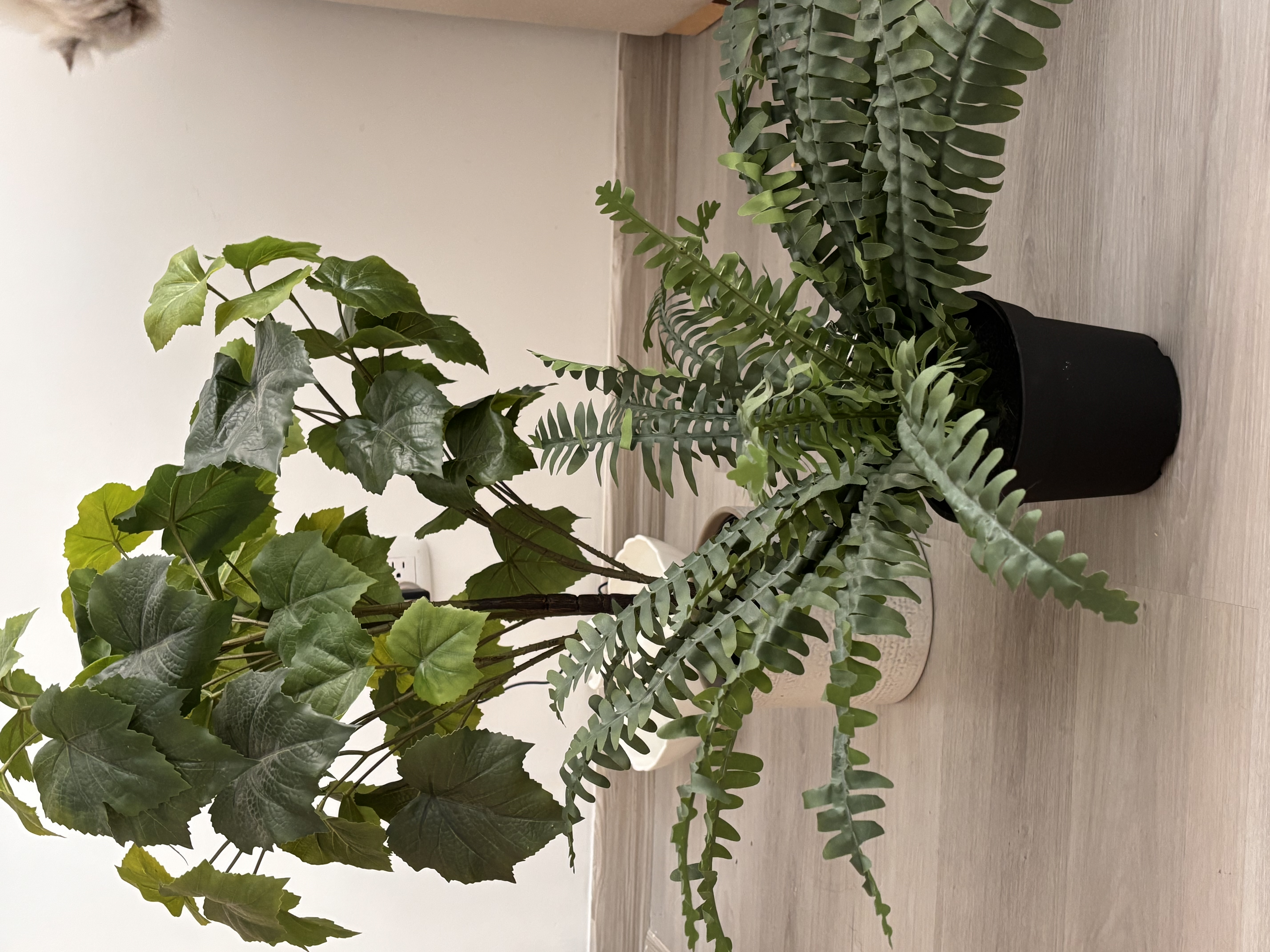 Set Plantas Artificiales IKEA (Grandes) + Matera Lujo