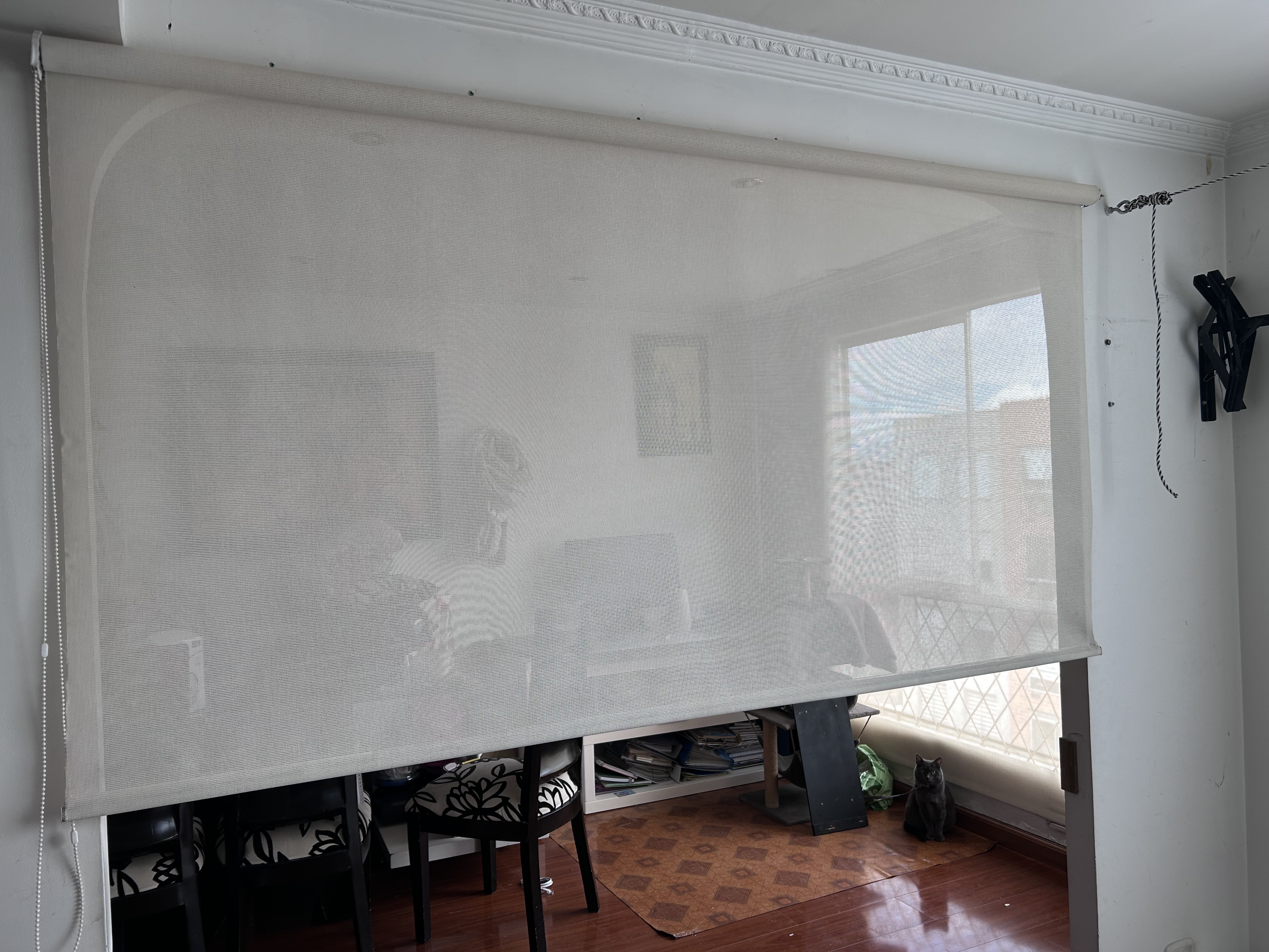 Blackout en malla para tus ventanas 🌟